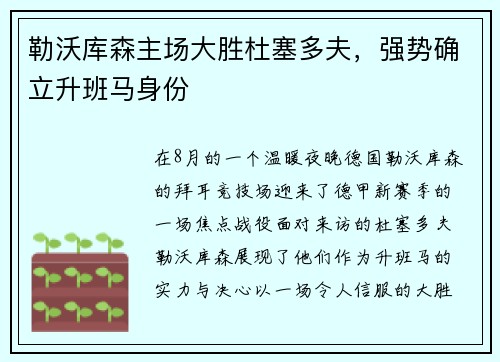 勒沃库森主场大胜杜塞多夫，强势确立升班马身份